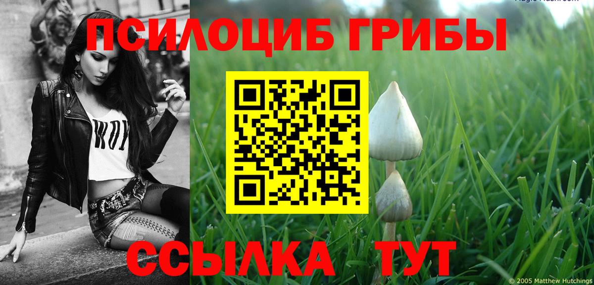 Псилоцибиновые грибы MAGIC MUSHROOMS  Вход с VPN  Саров 
