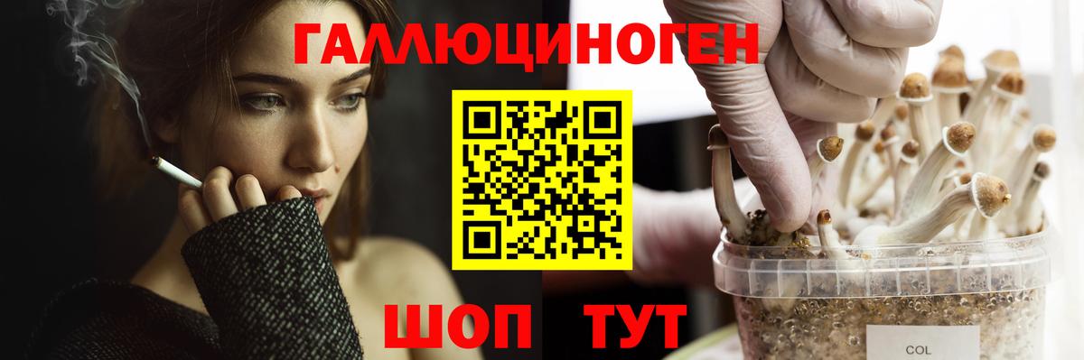 Галлюциногенные грибы прущие грибы Саров